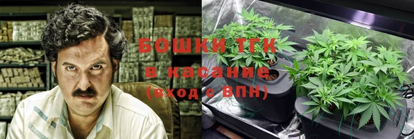 PSILOCYBIN Баксан