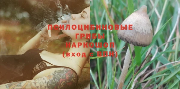 PSILOCYBIN Баксан